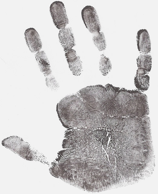 Forensic fingerprint