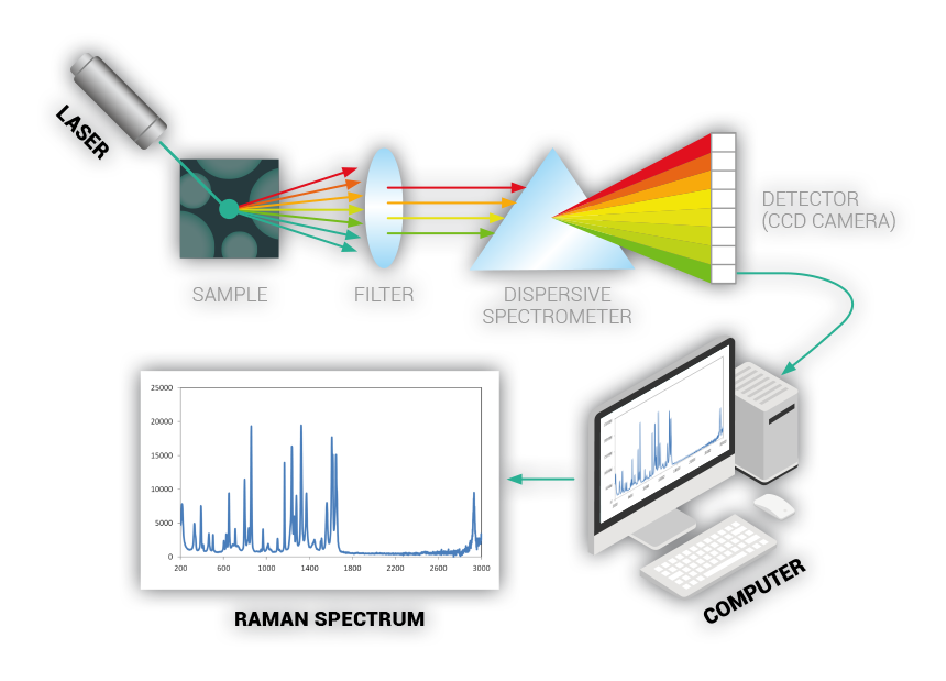 RAMAN Technology